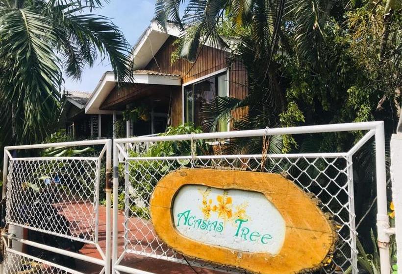 پانسیون Villa Acacias Tree