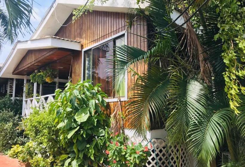 پانسیون Villa Acacias Tree