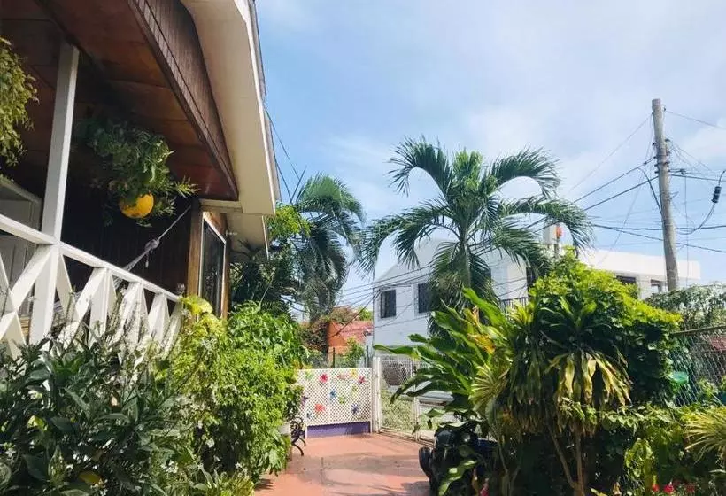 پانسیون Villa Acacias Tree