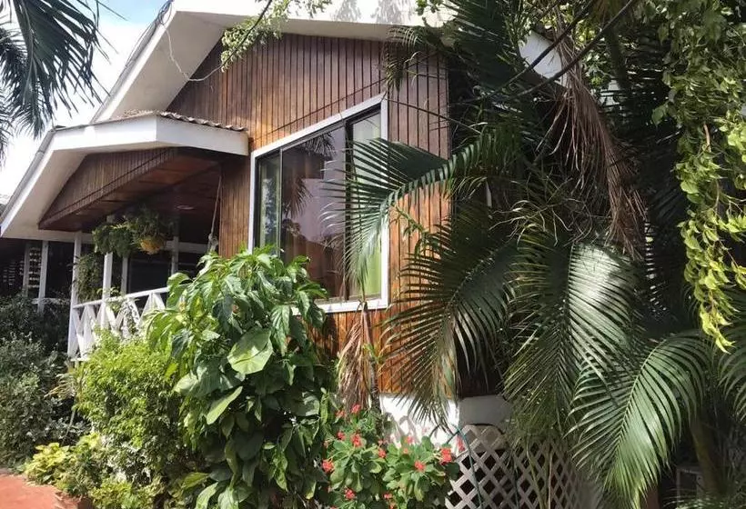 پانسیون Villa Acacias Tree