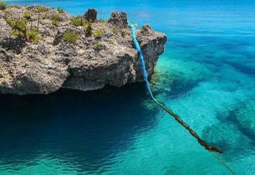 پانسیون Villa Acacias Tree