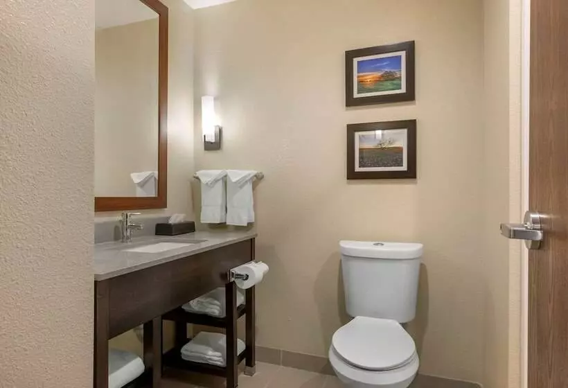 Hotelli Comfort Inn & Suites Euless Dfw West