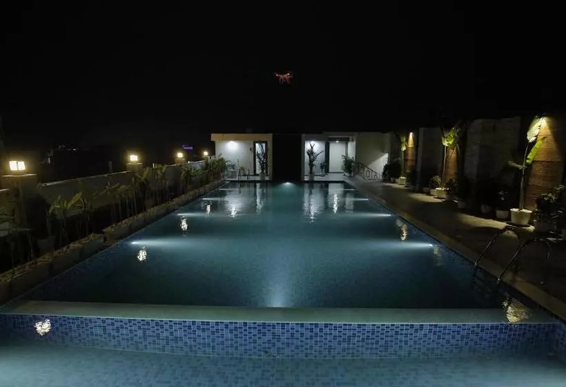 Hotel Daltin