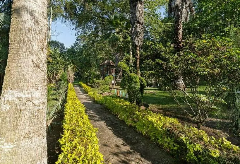 ホテル Hacienda San Bartolo