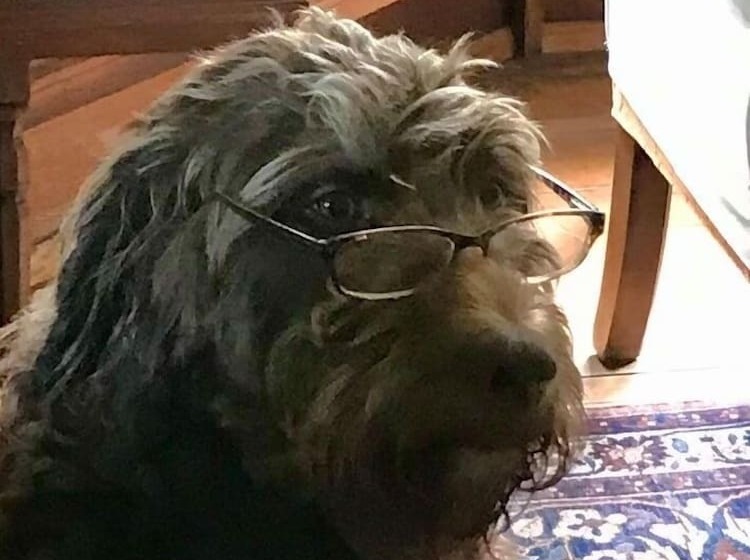 Laurel River Club Bed & Breakfast Or Lrcbnb