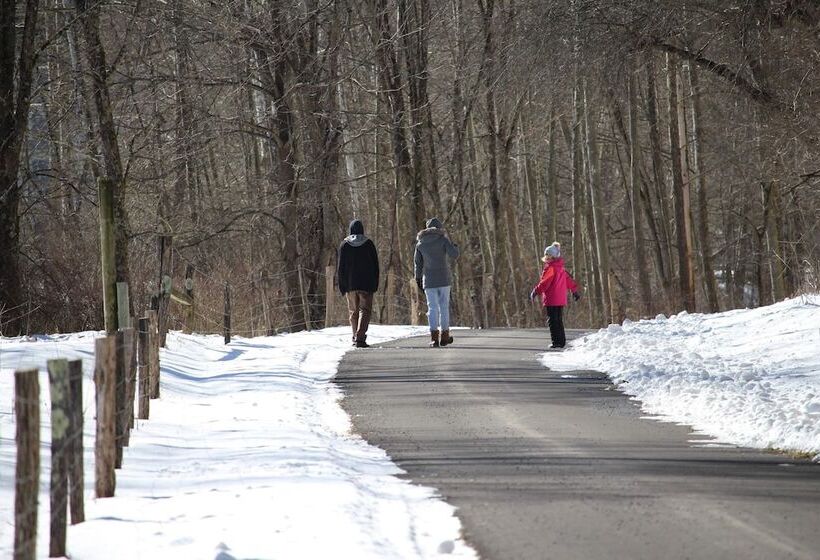 Laurel River Club Bed & Breakfast Or Lrcbnb