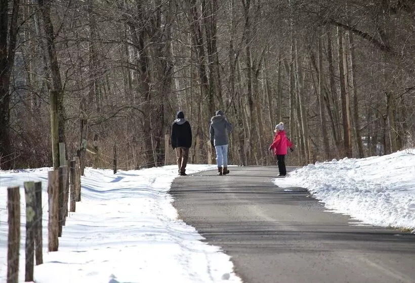 Laurel River Club Bed & Breakfast Or Lrcbnb