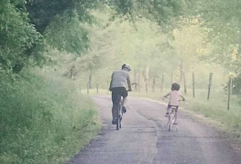 Laurel River Club Bed & Breakfast Or Lrcbnb