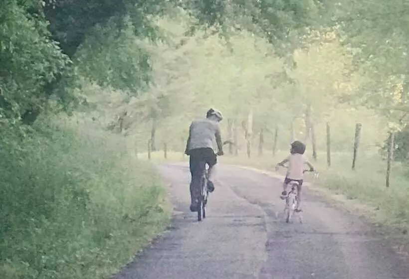 Laurel River Club Bed & Breakfast Or Lrcbnb