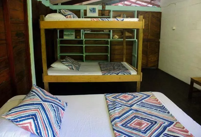 ペンション Refugio Mr Jerry Eco Hostal