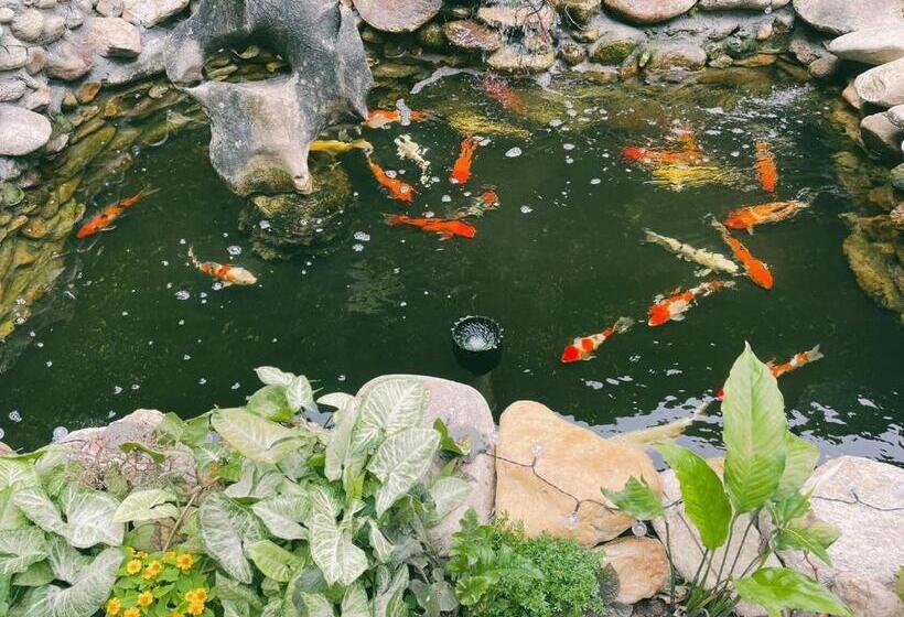 تختخواب و صبحانه Pao S Leisure Homestay