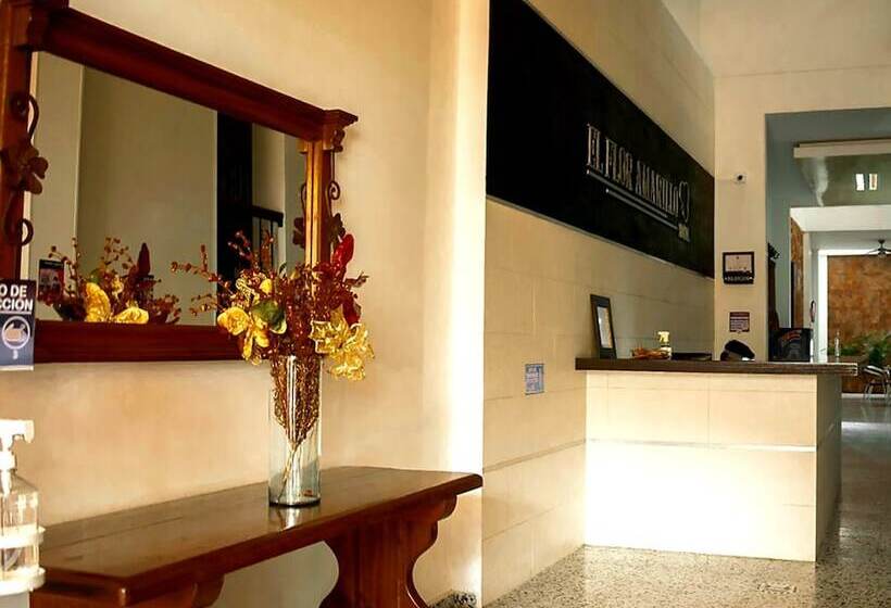 فندق El Flor Amarillo