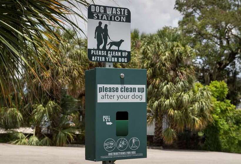 فندق Home2 Suites By Hilton Orlando Downtown