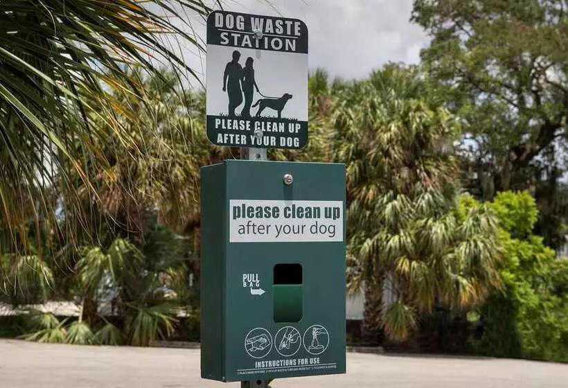 ホテル Home2 Suites By Hilton Orlando Downtown