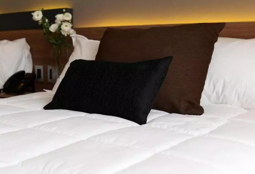 ホテル Soho Suites