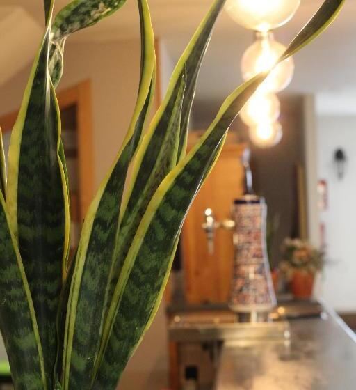 Hostal As Margaritas