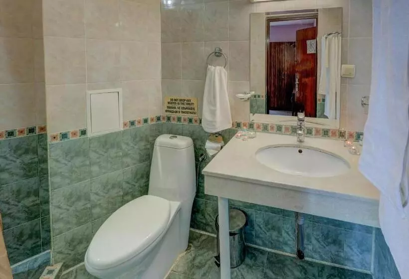 בית מלון כפרי Ellinis