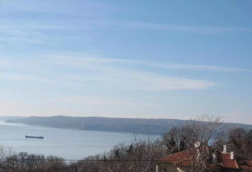 בית מלון כפרי Ellinis