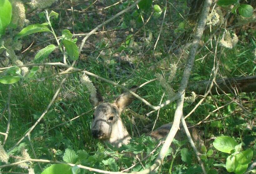 בית מלון כפרי Hôtel Restaurant N 4