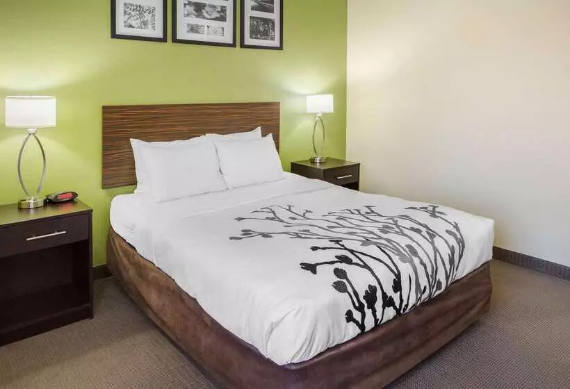 ホテル Sleep Inn & Suites Bakersfield North