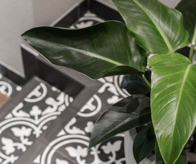 فندق The Jensen Potts Point