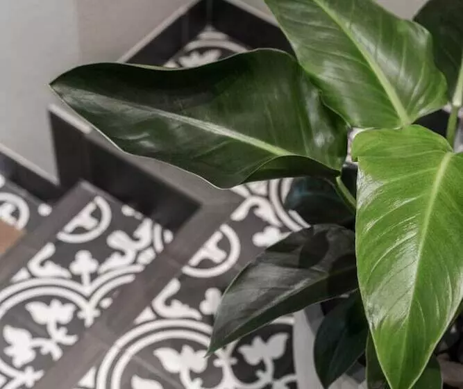 酒店 The Jensen Potts Point