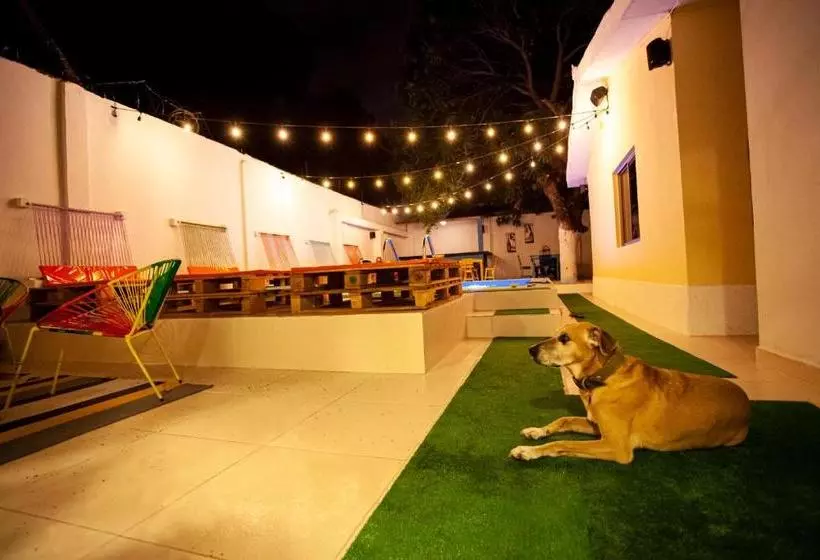 هاستل Hostal El Bando