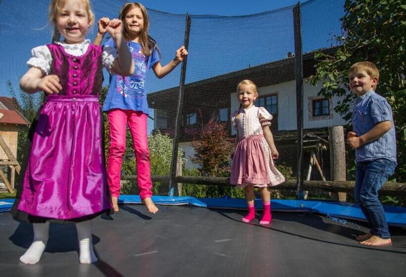 בית מלון כפרי Hörlhof   Chiemgau Karte