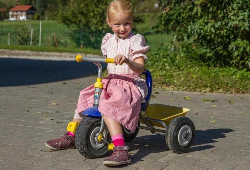 בית מלון כפרי Hörlhof   Chiemgau Karte