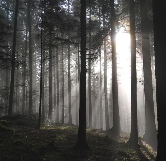 Hotel Kräuterhex' Reutin