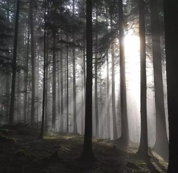 Hotelli Kräuterhex' Reutin