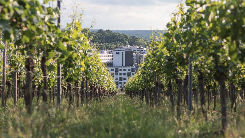 Отель Holiday Inn   The Niu, Form Stuttgart Feuerbach, An Ihg