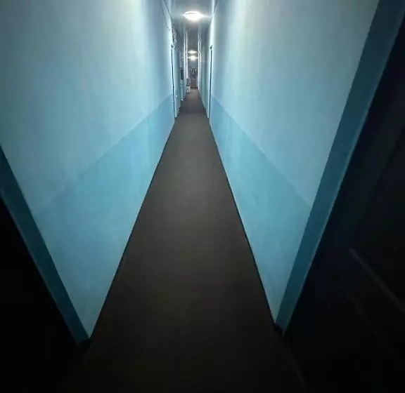 پانسیون пана