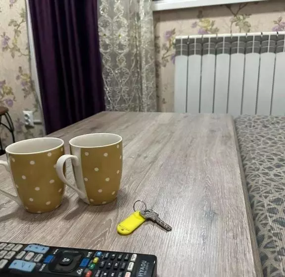 پانسیون пана