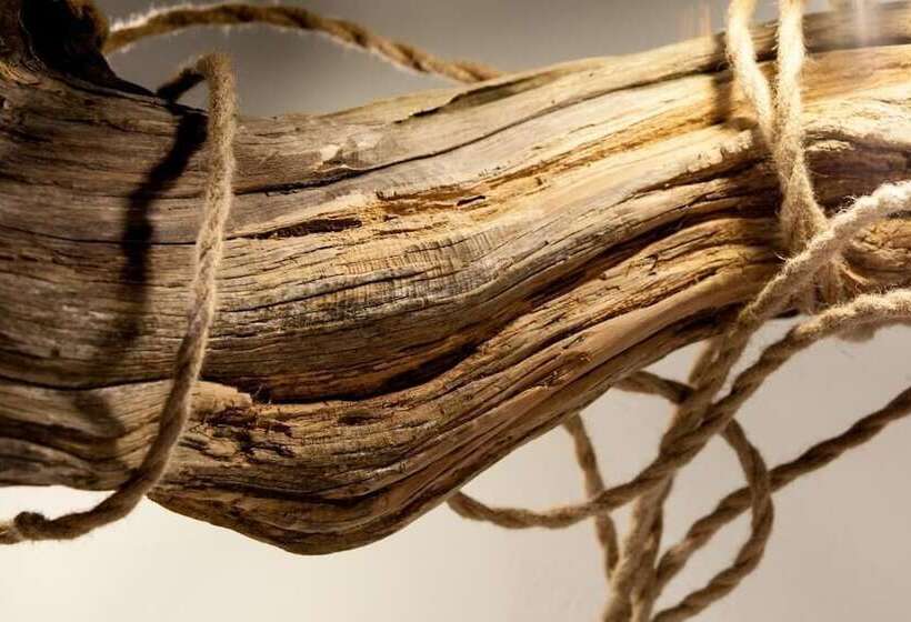 פנסיון Myrtus Guest House Cagliari