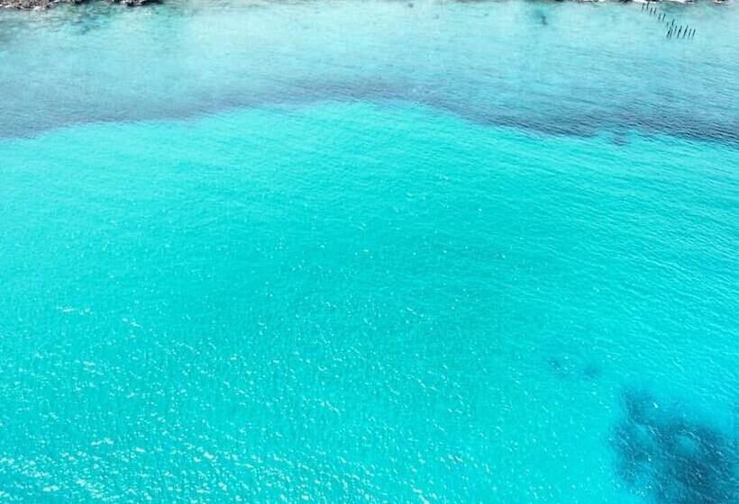 Pansiyon Room In Apartment   Green Sea Villa Helen Inn Located At Kilometer 4 Circunvalar