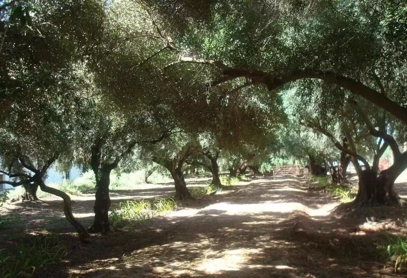 هاستل El Solar De Los Olivos