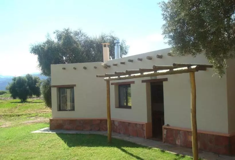 هاستل El Solar De Los Olivos