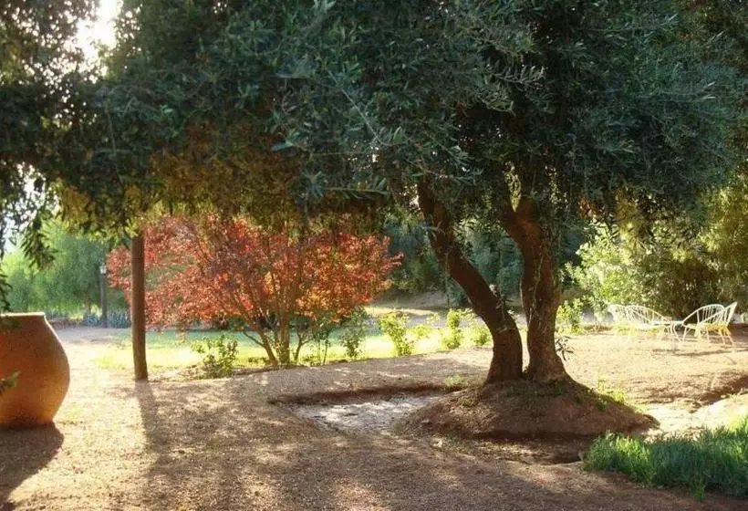 هاستل El Solar De Los Olivos