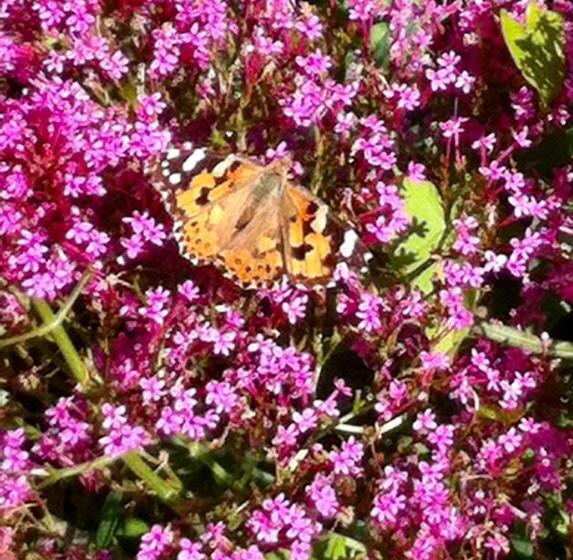 مبيت وإفطار Chambres De St Michel