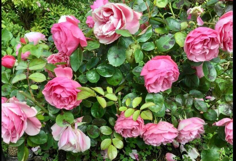 مبيت وإفطار Chambres De St Michel