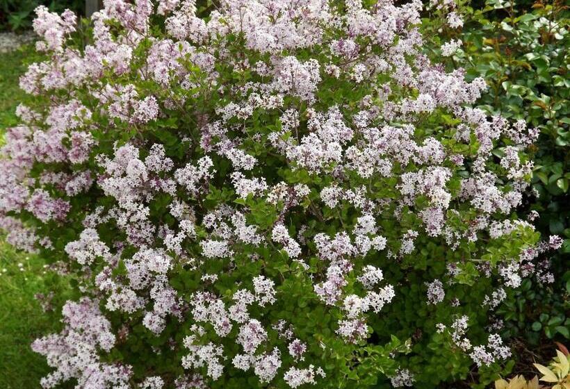 مبيت وإفطار Chambres De St Michel