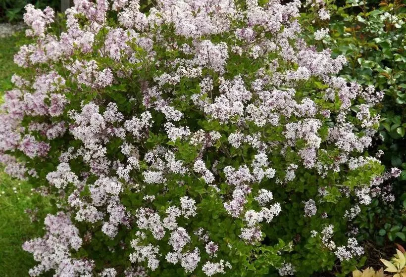 Aamiaismajoitus (B&B) Chambres De St Michel