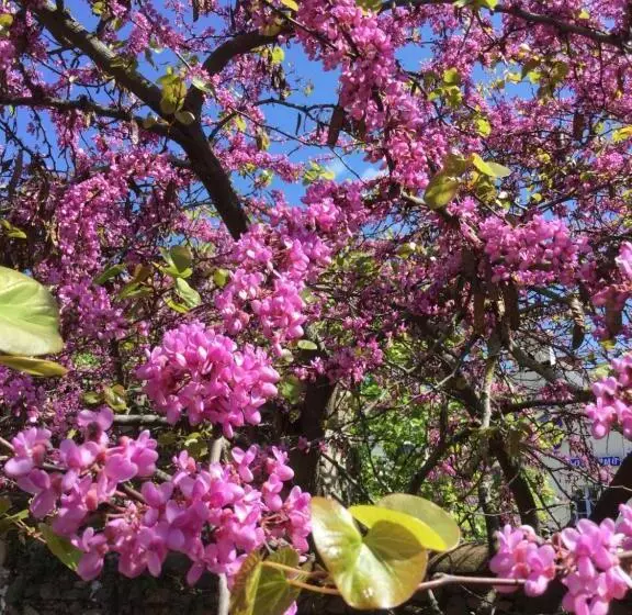 Aamiaismajoitus (B&B) Chambres De St Michel