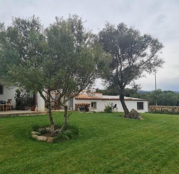 住宿加早餐  Lu Antu Alloggi Agrituristici