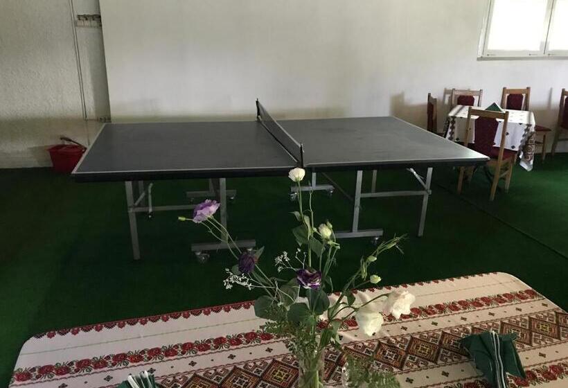 مُتل Pensiunea Basarabia