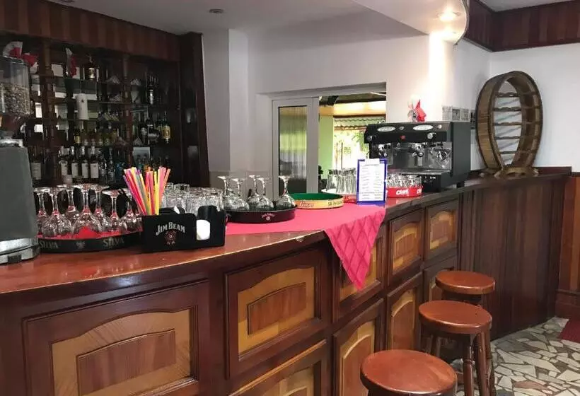 Motelli Pensiunea Basarabia