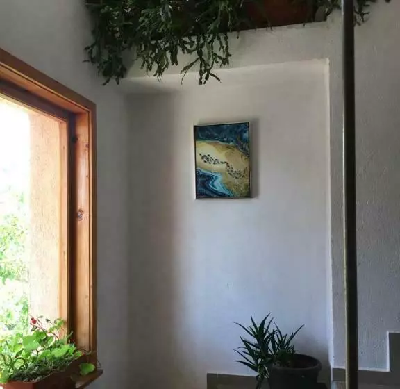 پانسیون Chervenkov Guest House