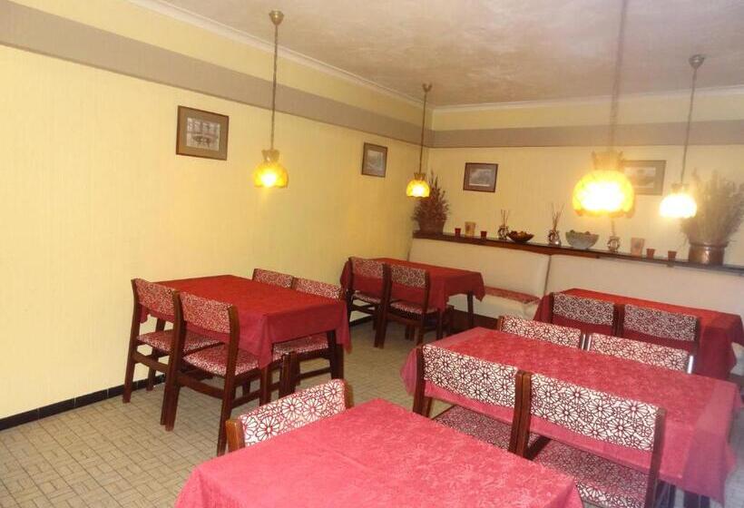 پانسیون Logies Ocelot