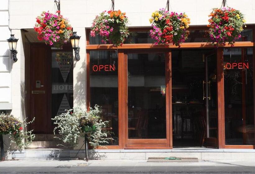 پانسیون Logies Ocelot